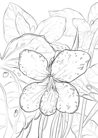 Blue Violet Coloring Page